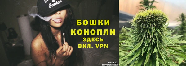 винт Верея