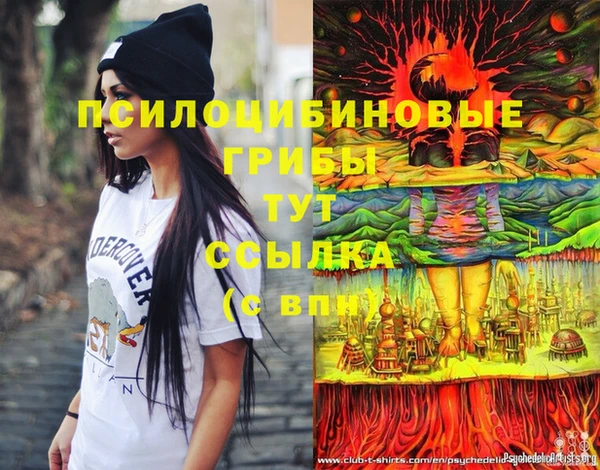винт Верея