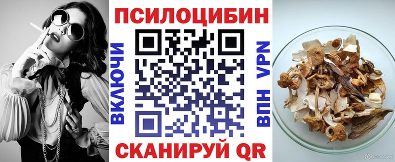 даркнет какой сайт KRAKEN онион Галлюциногенные грибы прущие грибы Петровск-Забайкальский наркошоп