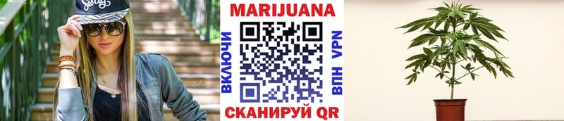 Бошки Шишки Amnesia  Петровск-Забайкальский 